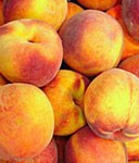 Pomi fructiferi Piersic soiul Southland